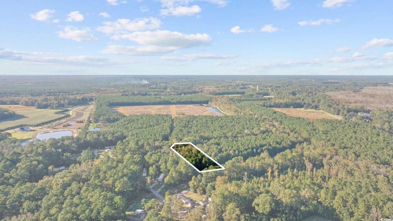 Tbd Mahalia Dr.  Photo 14