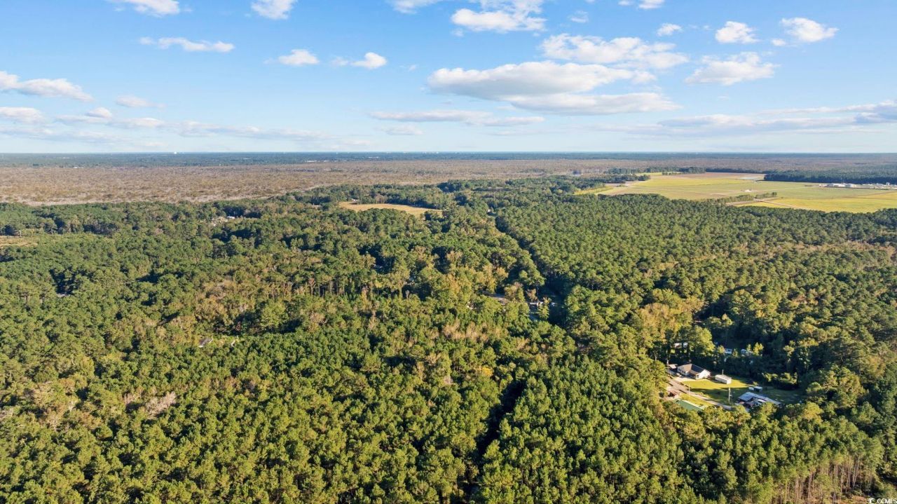 Tbd Mahalia Dr.  Photo 19