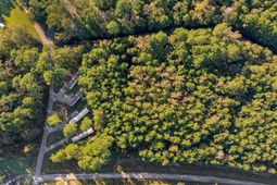 Tbd Mahalia Dr.  photo 4