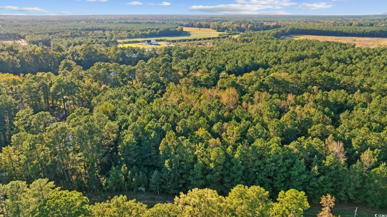 Tbd Mahalia Dr.  Photo 21