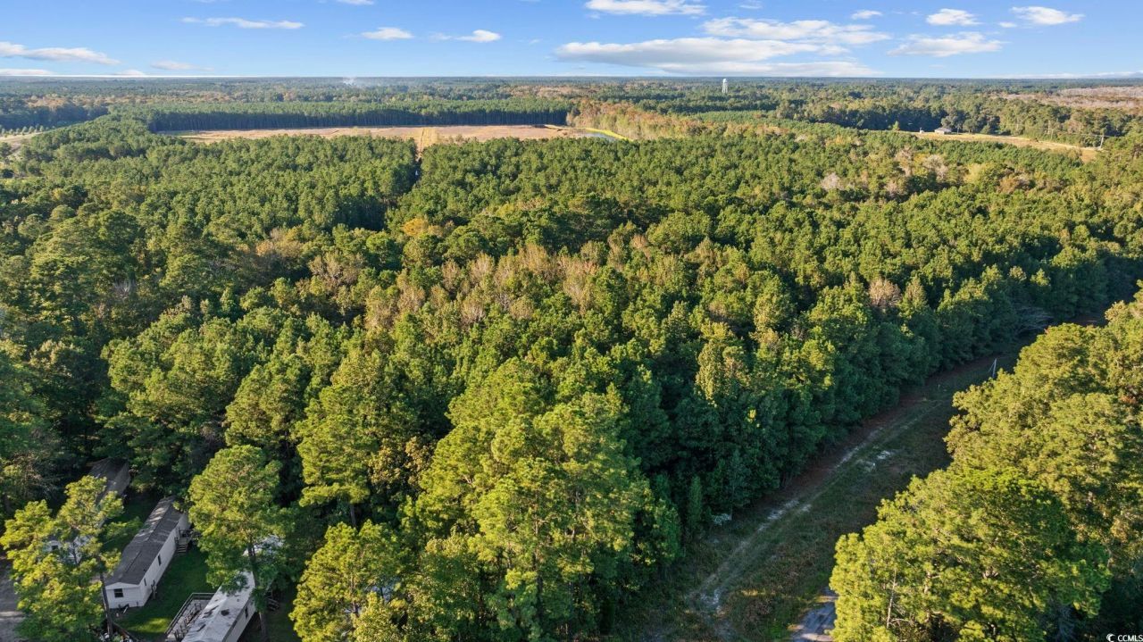 Tbd Mahalia Dr.  Photo 22