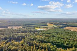 Tbd Mahalia Dr.  photo 4