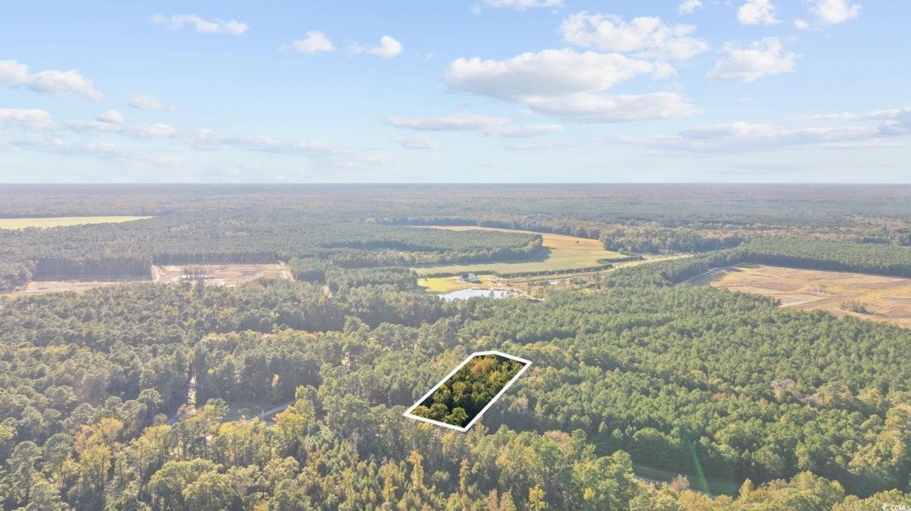 Tbd Mahalia Dr.  Photo 4