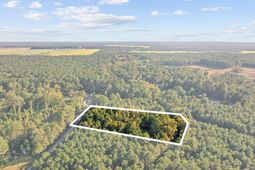 Tbd Mahalia Dr.  photo 4