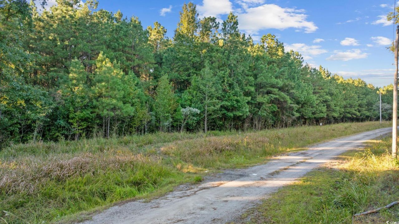 Tbd Mahalia Dr.  Photo 9