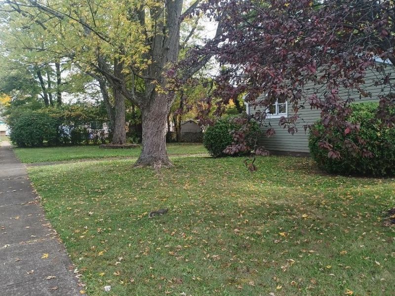 6048 Pinemoor Street, Columbus, OH 43229 Photo 3