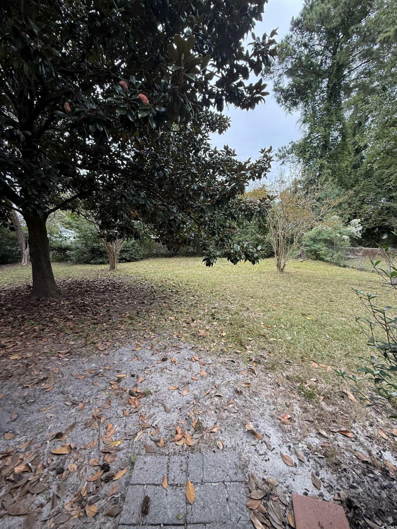 110 Misty Pine Dr. Photo 11