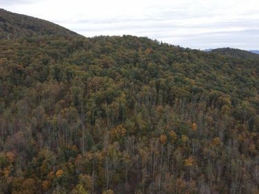 0 North Forks Road, Amherst, VA 24521