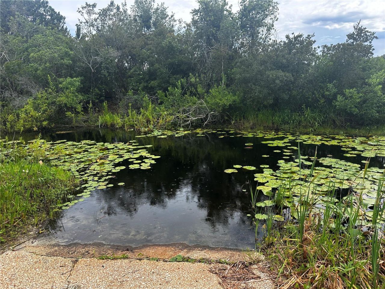 15080 NE 242nd Avenue, Salt Springs, FL 32134 Photo