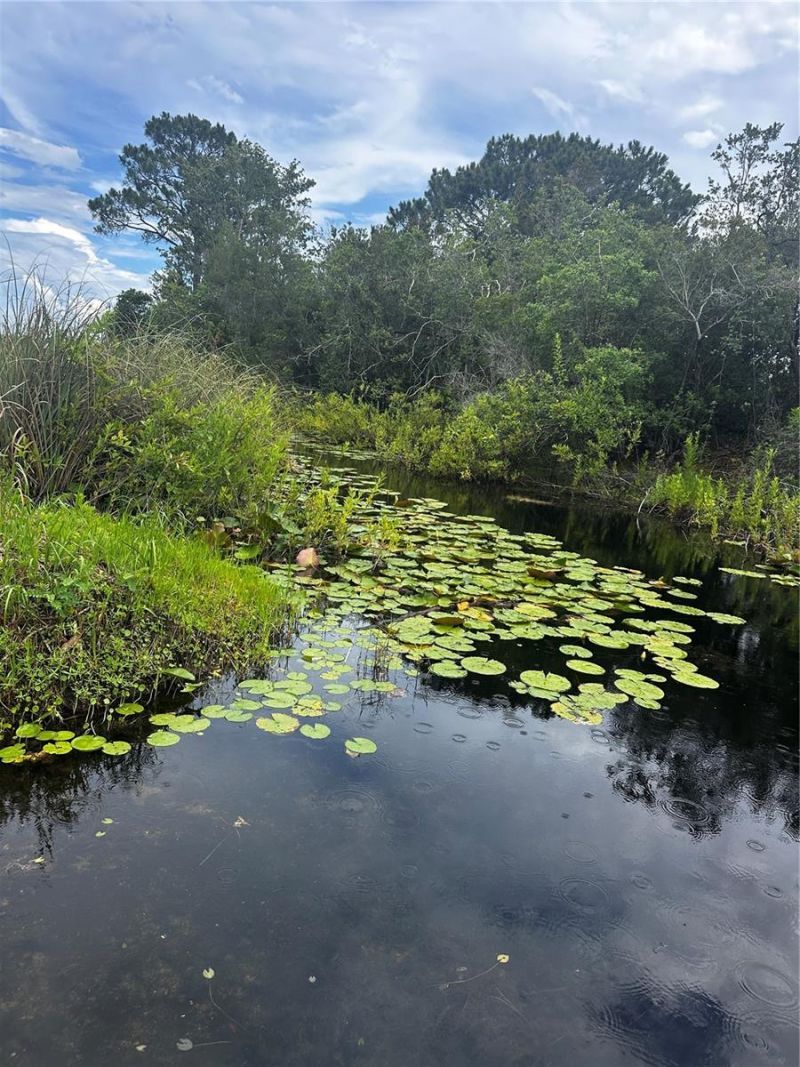 15080 NE 242nd Avenue, Salt Springs, FL 32134 Photo