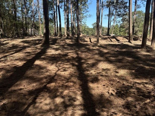 0 Johnny Martin Rd, Franklinton, LA 70438