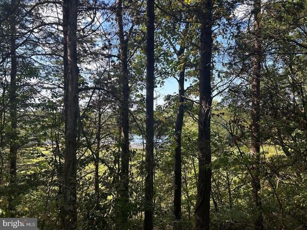 PARCEL 14 KIPPS LANE, ELKWOOD, VA 22718