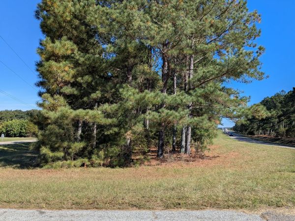 0 Hwy 121, Trenton, SC 29847