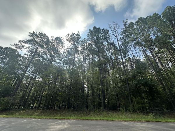 Lot 1 Dogwood Lane, Parksville, SC 29845