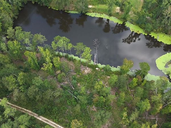 0 Hummingbird Drive, Trenton, SC 29847