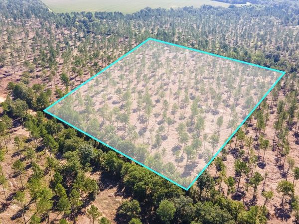 Lot 5 Bluffwood Road, Wagener, SC 29164