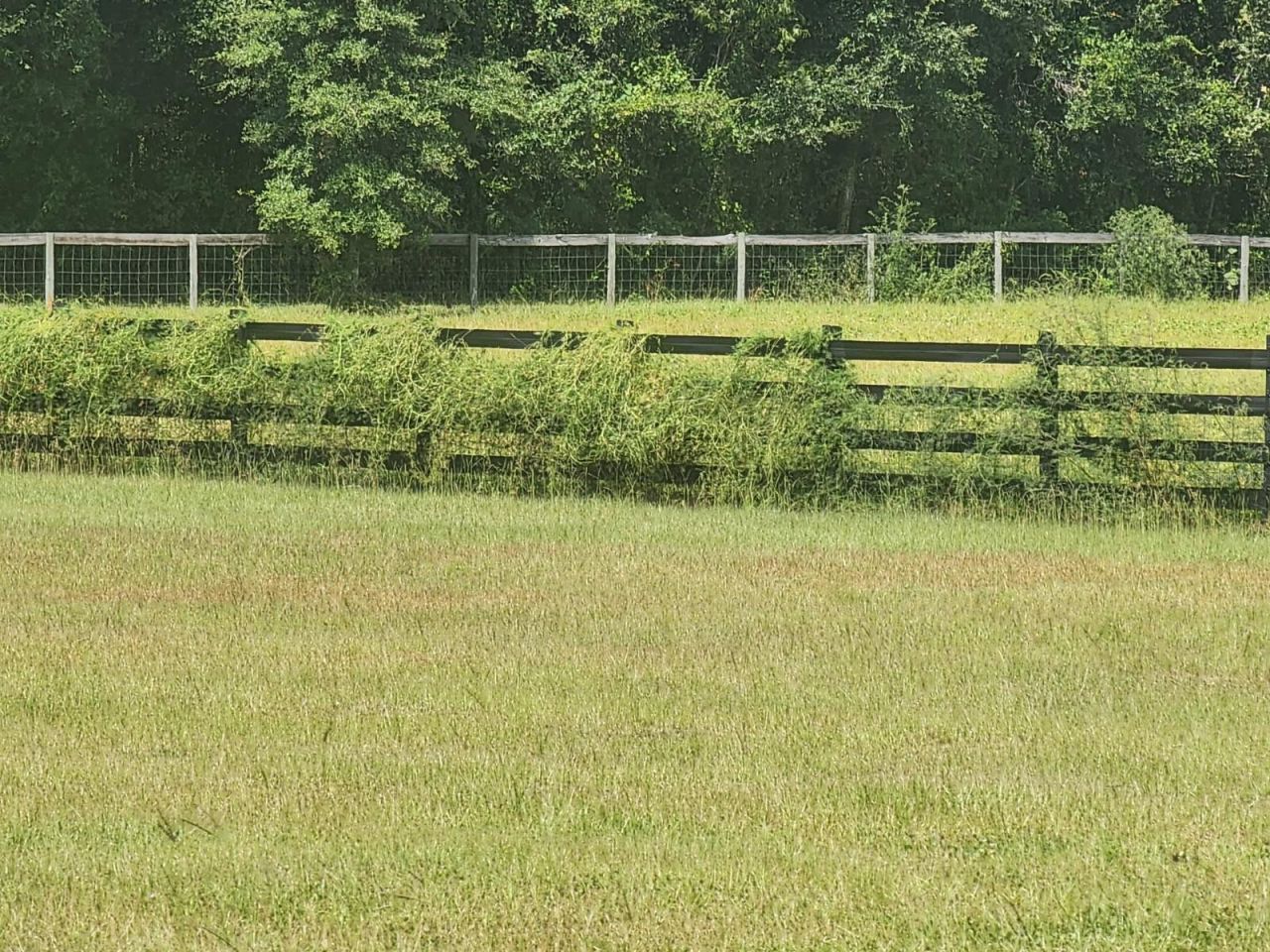 10630 NW 153rd Terrace, Alachua, FL 32615 Photo