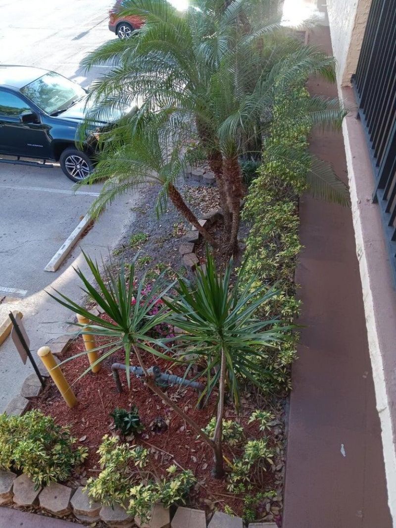 3450 Blue Lake Drive, Unit 204, Pompano Beach, FL 33064 Photo