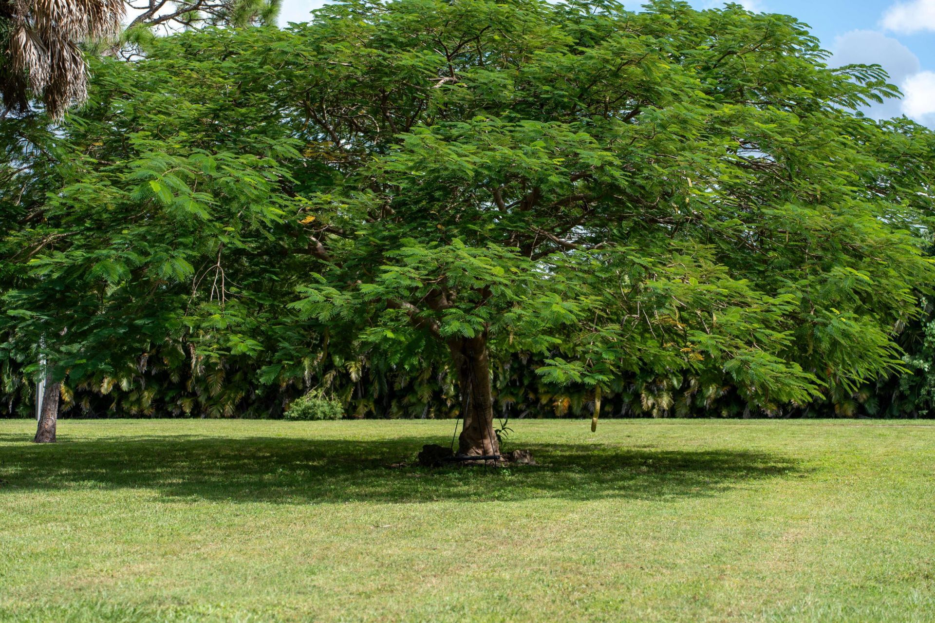 14279 43rd Road, Loxahatchee Groves, FL 33470 Photo