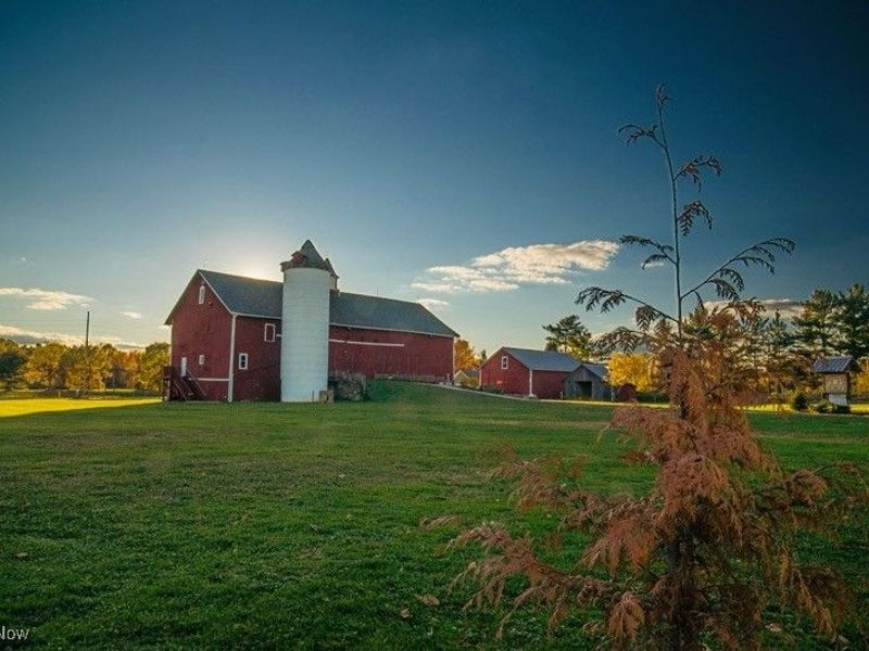 1399 Barlow Road, Unit 1, Hudson, OH 44236 Photo 13