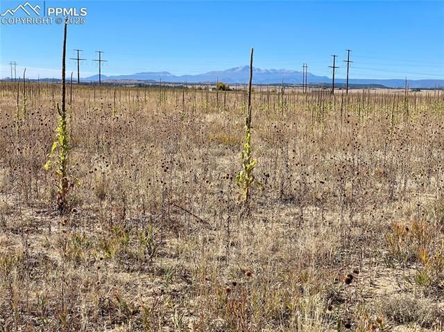 Parcel 2 County Road 98, Elbert, CO 80106 Main Photo
