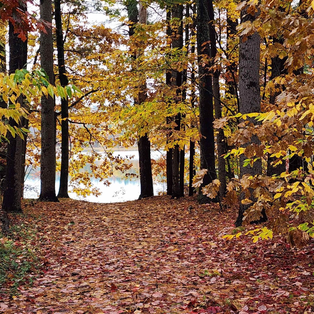14 Emerald Lane, Tilton, NH 03276 Main Photo