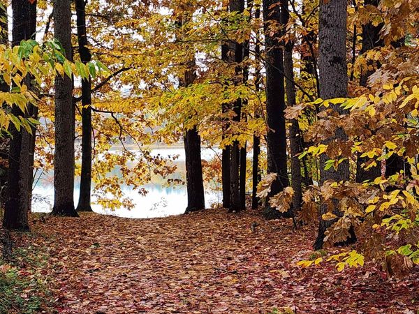 14 Emerald Lane, Tilton, NH 03276