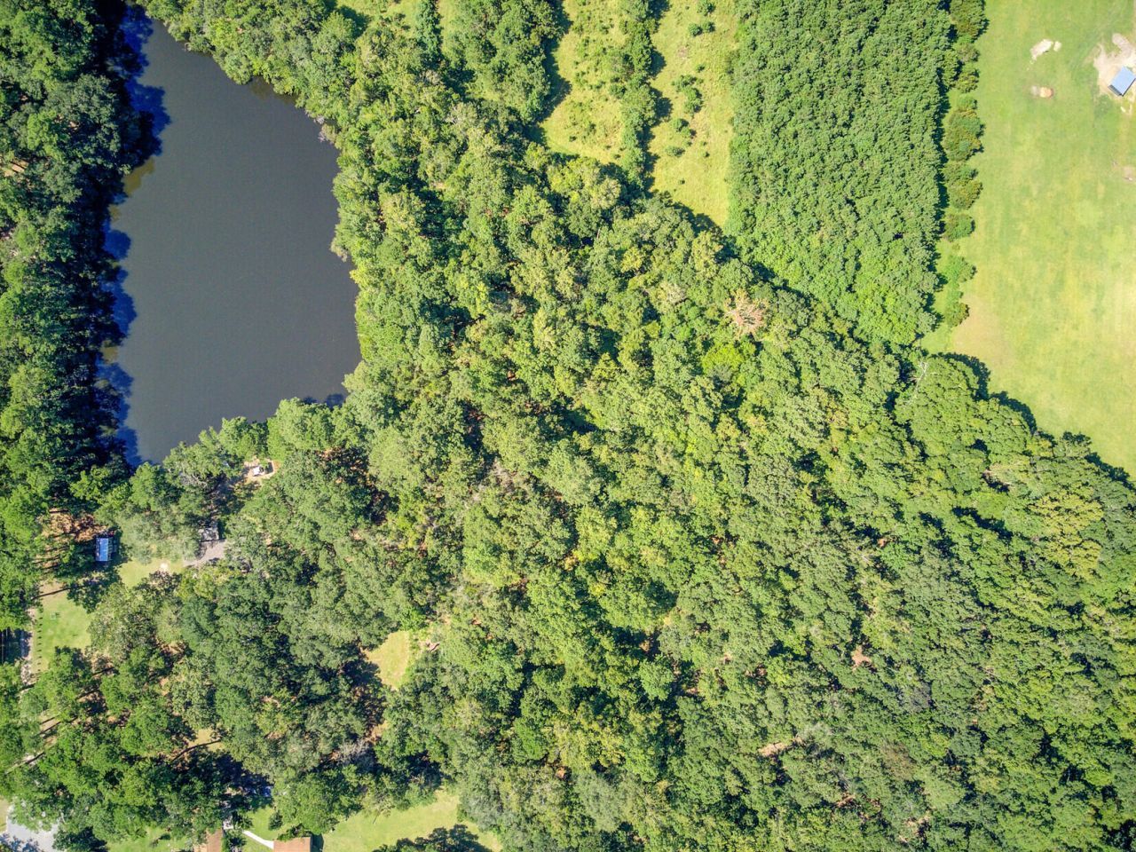 4015 Poppys Point Photo 4