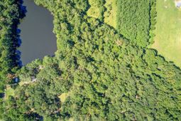 4015 Poppys Point photo 4