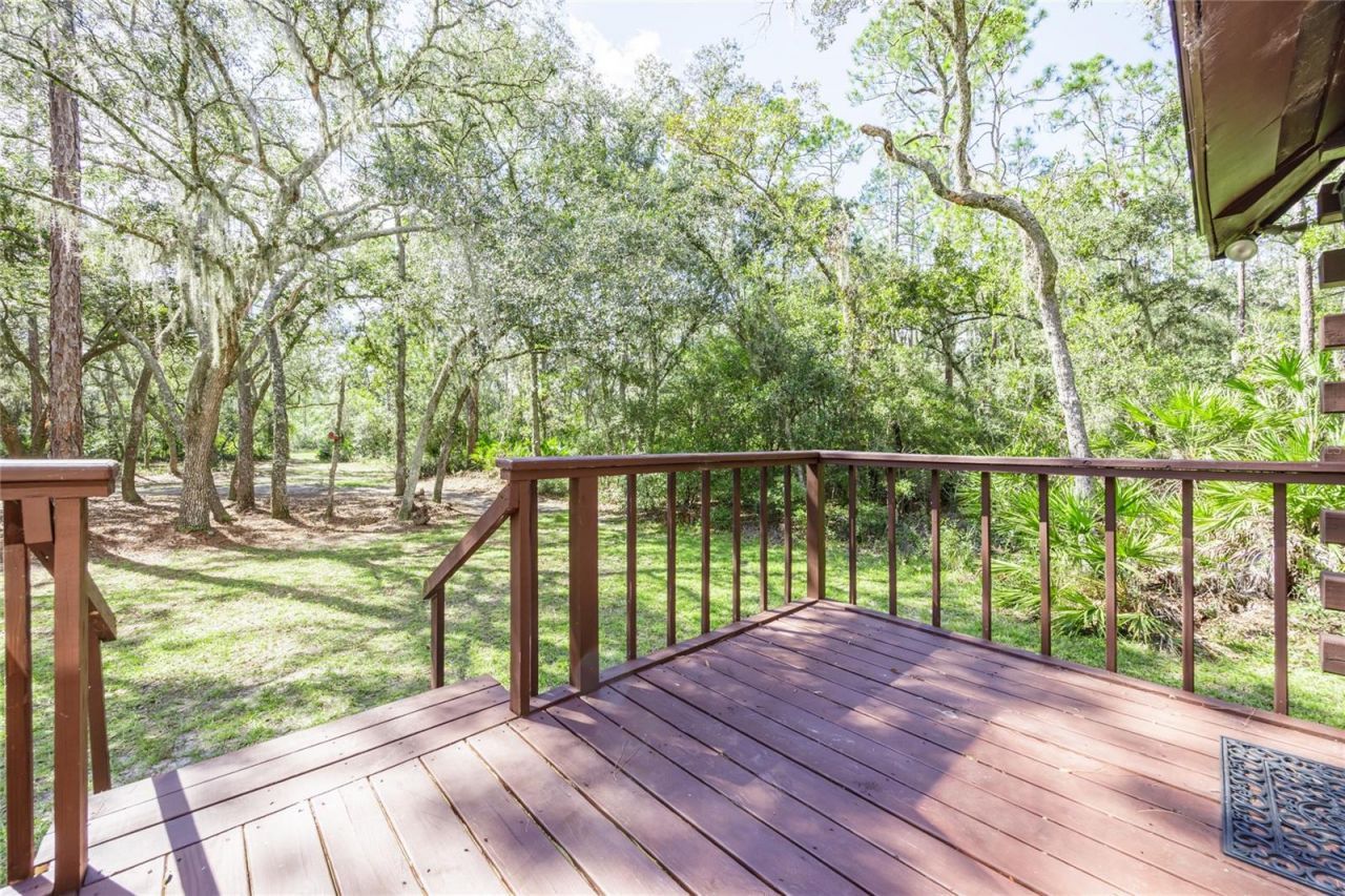 239 Riley Lake Drive, Hawthorne, FL 32640 Photo