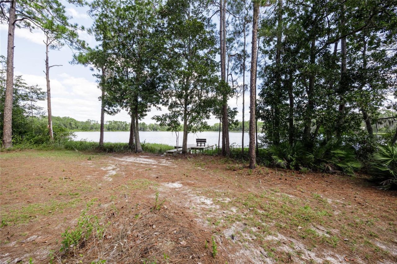 239 Riley Lake Drive, Hawthorne, FL 32640 Photo