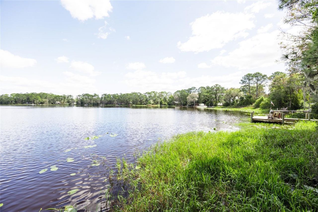 239 Riley Lake Drive, Hawthorne, FL 32640 Photo