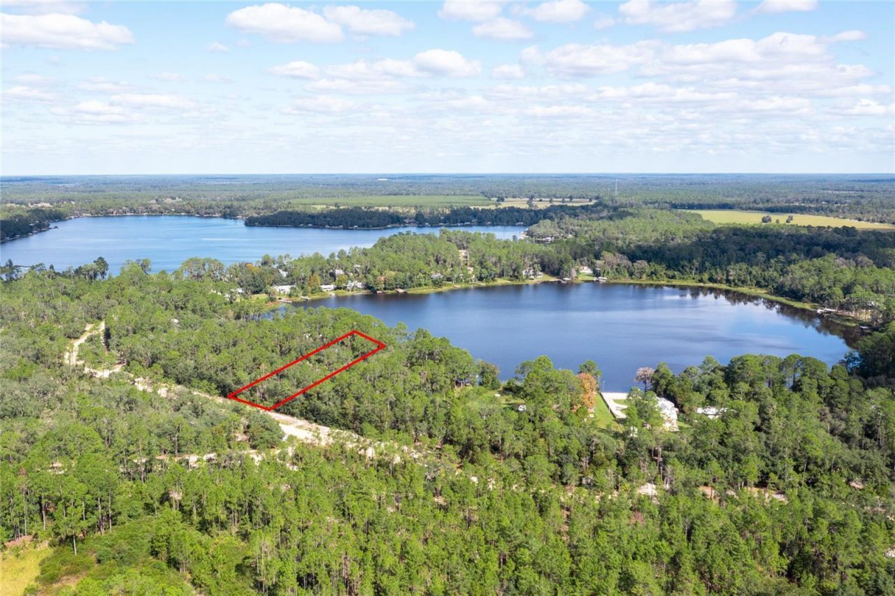 239 Riley Lake Drive, Hawthorne, FL 32640 Photo