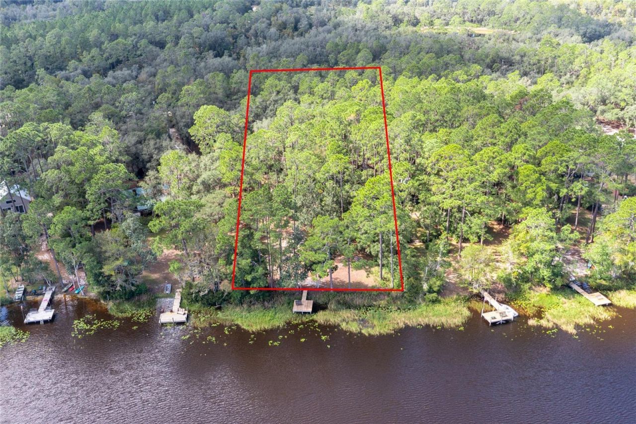 239 Riley Lake Drive, Hawthorne, FL 32640 Photo