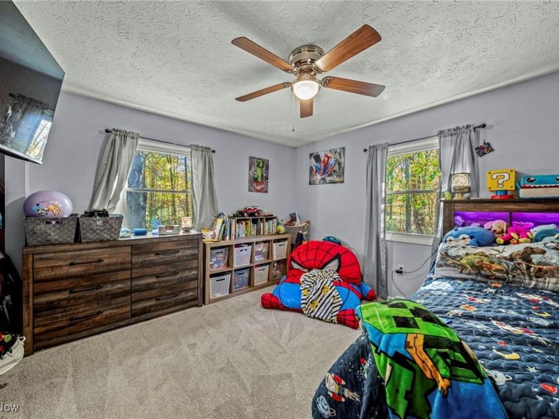 7435 Glenwood Road, Conneaut, OH 44030 Photo 18