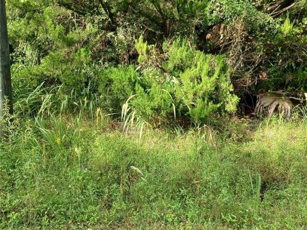 WINONA DRIVE, GENEVA, FL 32732