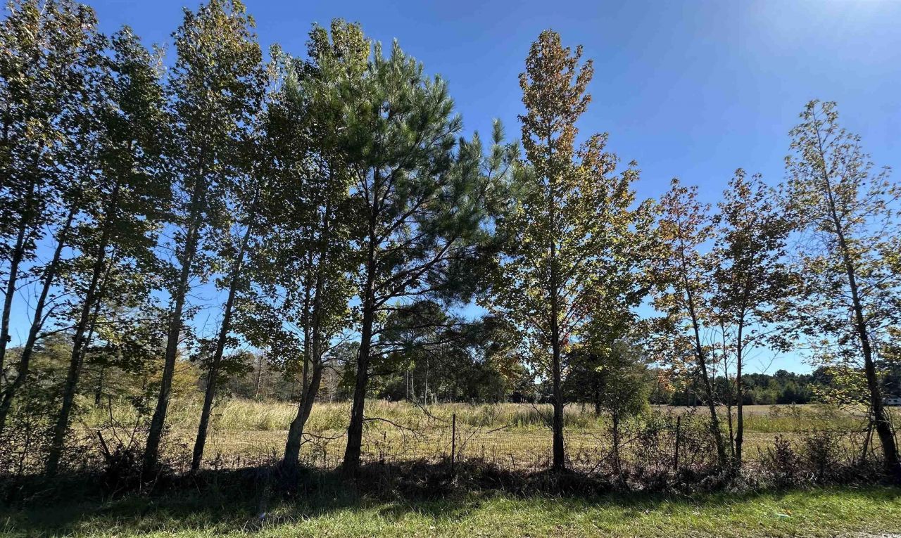 1962 Highway 646 Photo 10