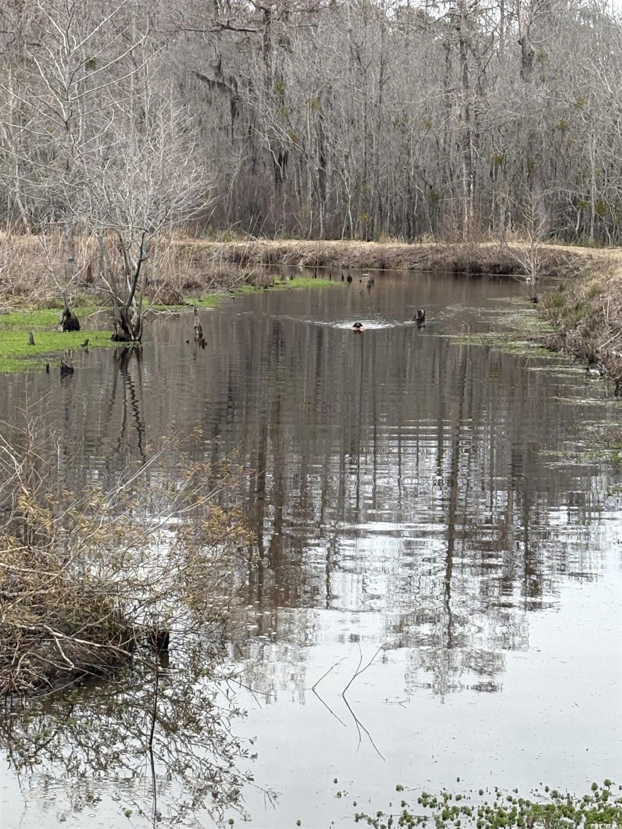 1962 Highway 646 Photo 4