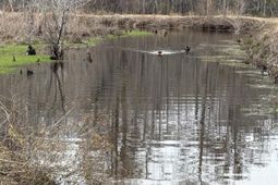 1962 Highway 646 photo 4