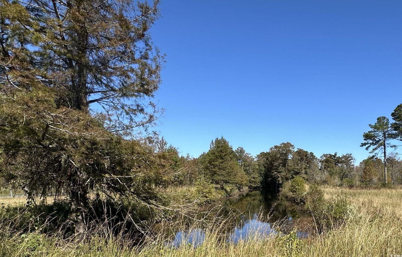 1962 Highway 646 Photo 5