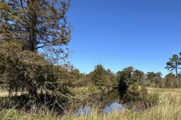 1962 Highway 646 photo 4