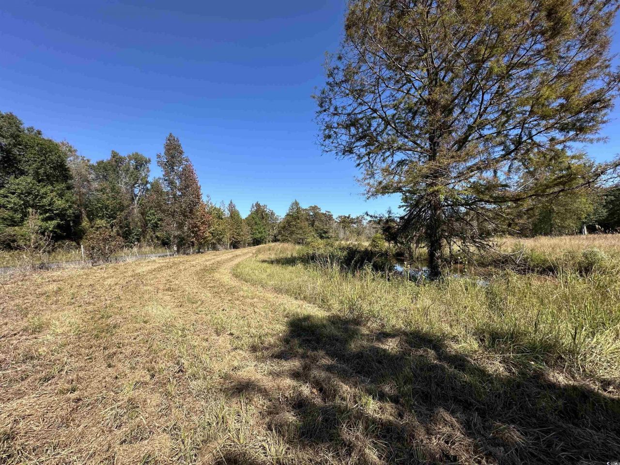 1962 Highway 646 Photo 8