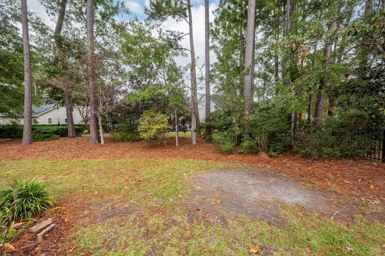 123 Brutus Lane Photo 40