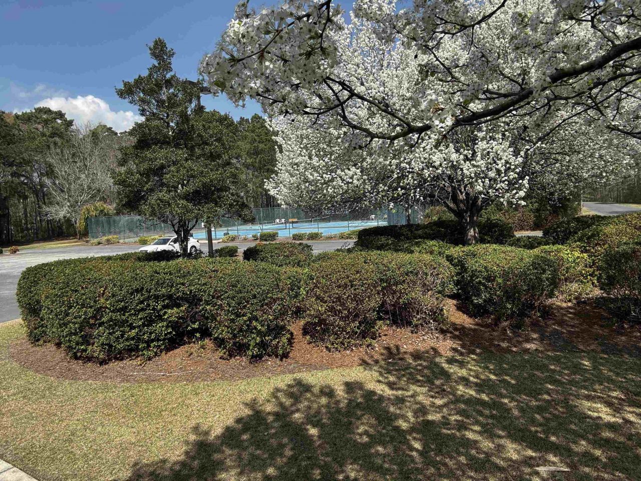 366 Pinehurst Ln. Photo 31