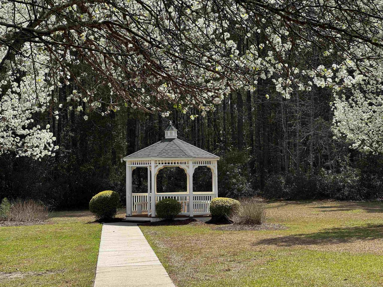 366 Pinehurst Ln. Photo 32