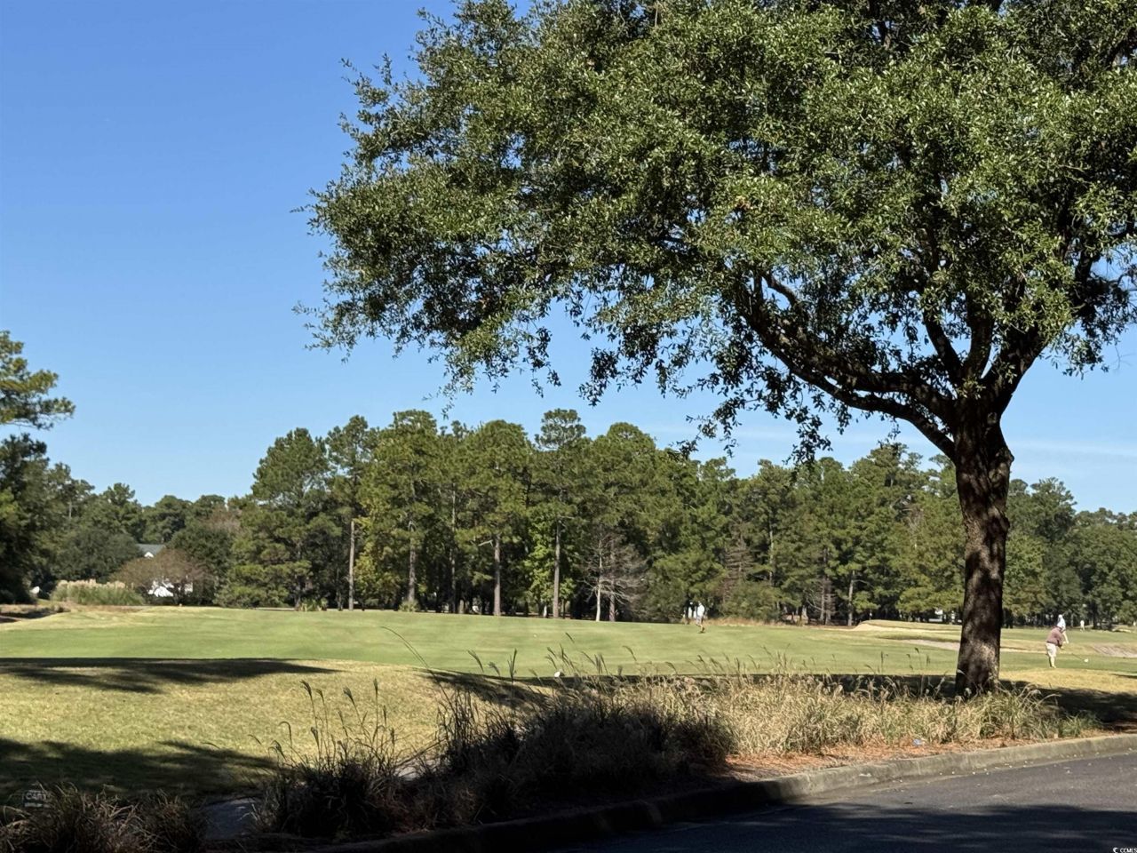 366 Pinehurst Ln. Photo 39