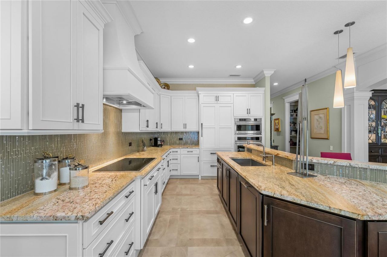 414 Meandering Way, Polk City, FL 33868 Photo