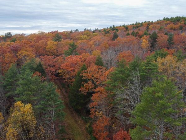 Lot 57B Dodge Road, Dresden, ME 04342