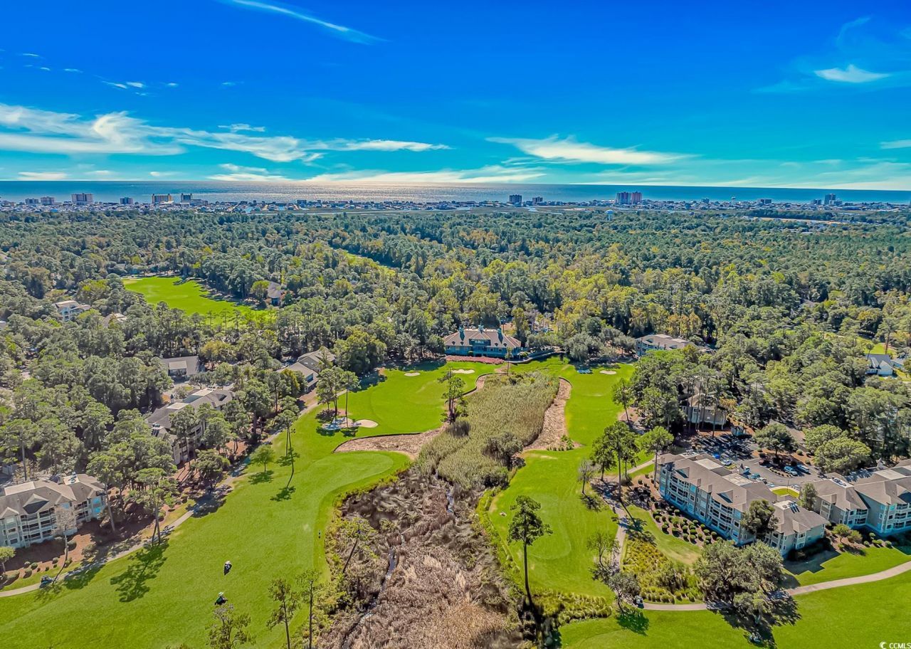 1401 Lighthouse Dr. Photo 28