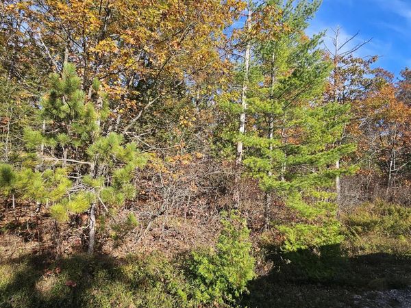 V/L 0.38 A Highland Pines Road, Presque Isle, MI 49777